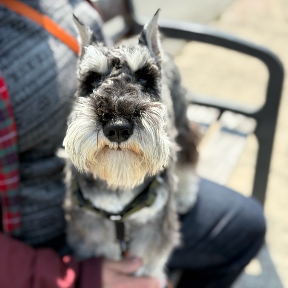 Meet your Posher, Clare - Picture 2 of 2